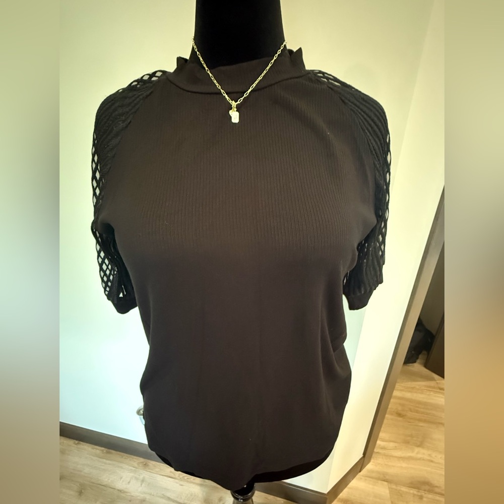 Textured Mixed Media Puff Sheer Striped Sleeve Top
